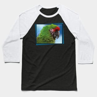 military macaw Baseball T-Shirt